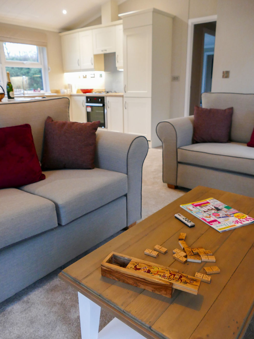 Wessex Classic Bespoke Luxury Lodge Lounge patio doors living room and coffee table