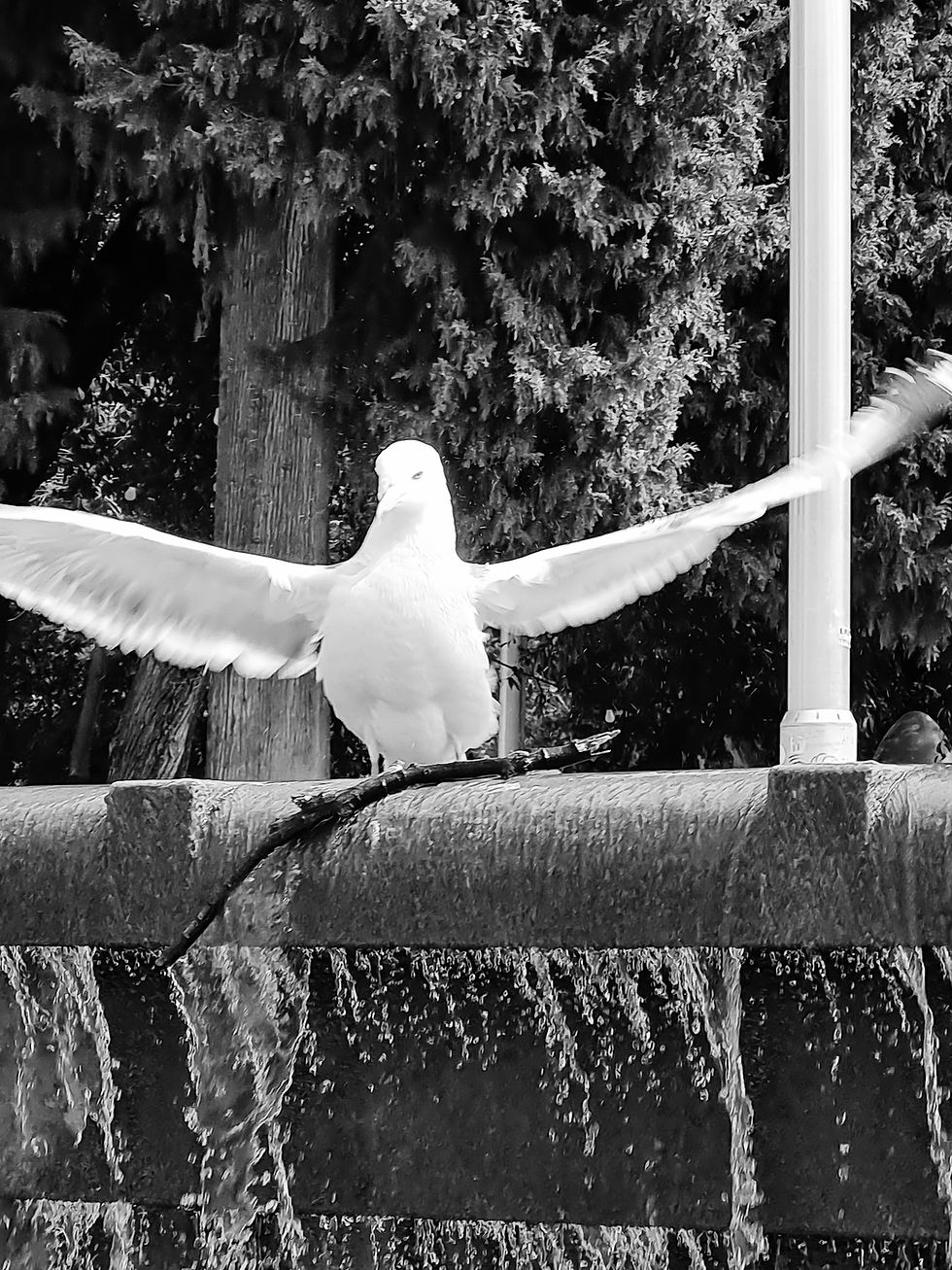 See where "I" comes from and it will disappear (poem)