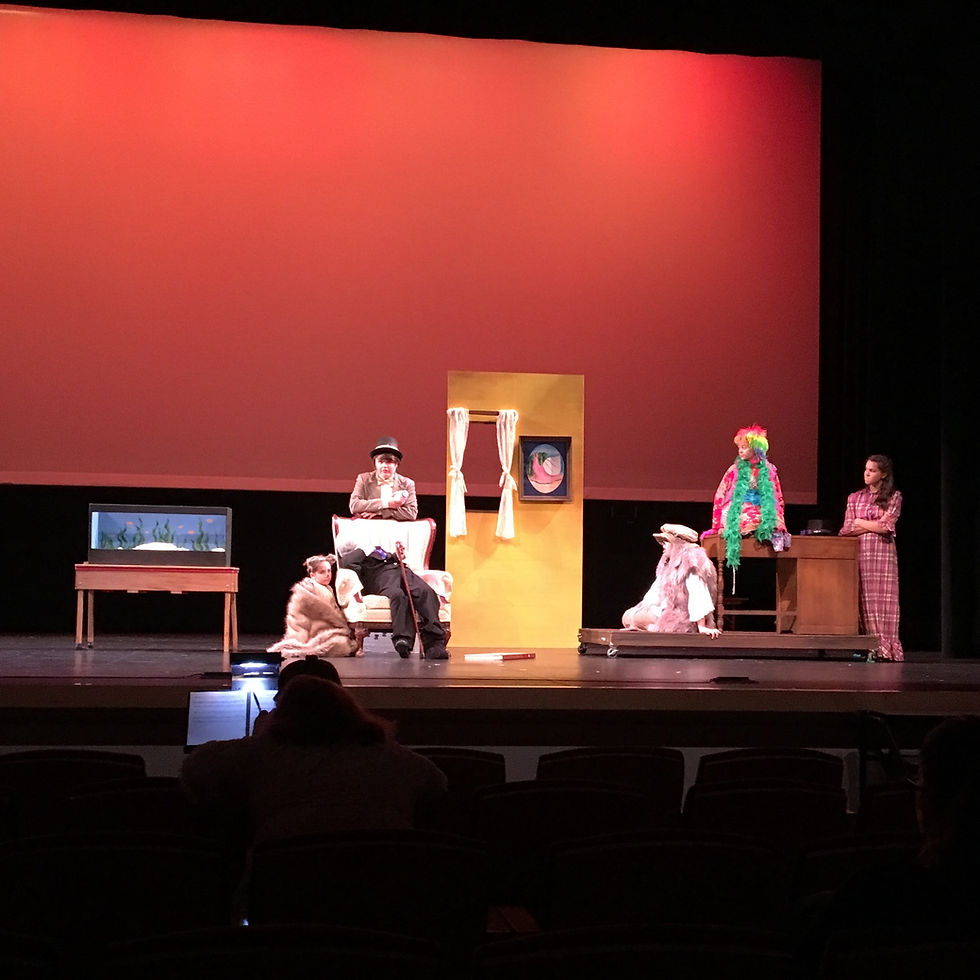 25 Dr. Dolittle Set Office