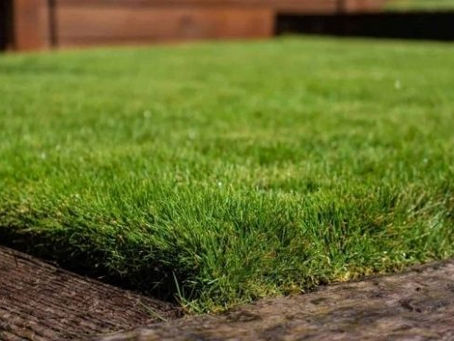 Khám phá Cảm giác Tự do trên Sân Golf