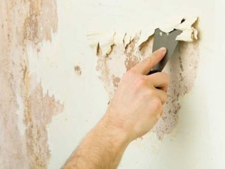Tư vấn chọn màu sơn nhà - Phong cách hiện đại, sang trọng