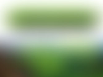 Thảm cỏ nhân tạo bể cá - Bí quyết tô điểm vẻ đẹp cho thế giới dưới nước
