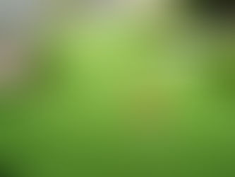 Khám Phá Sức Mạnh của Thảm Cỏ Nhân Tạo Trong Lĩnh Vực Golf