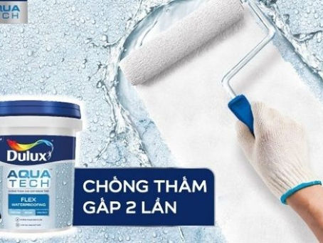 Sơn Nước Chống Thấm: Đồng Hành Đáng Tin Cậy cho Ngôi Nhà