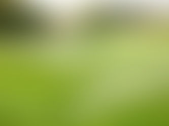 Sân Golf Tiêu Chuẩn Thế Giới - Nét Đẹp Tinh Tế Từ Thiết Kế Đến Thi Công