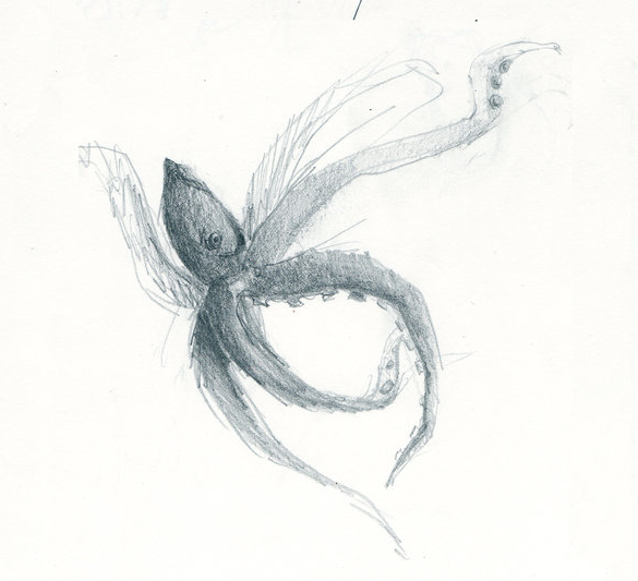 Squid Sketch