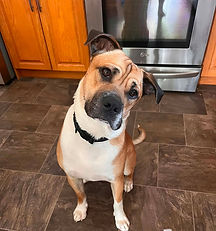 Max