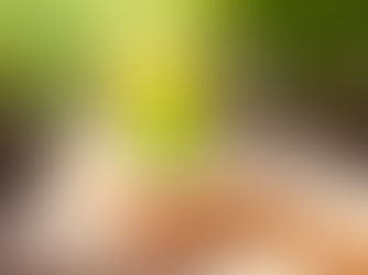 O que é Turismo Sustentável e Ecoturismo e Destinos Nacionais e Internacionais