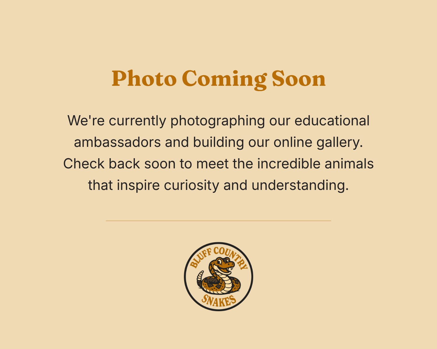 Placeholder image indicating that photos of Bluff Country Snakes' educational ambassador animals are coming soon as the online gallery is being developed.