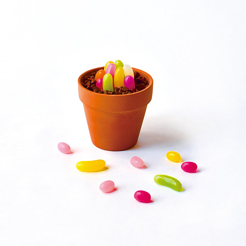 gelly beans.jpeg