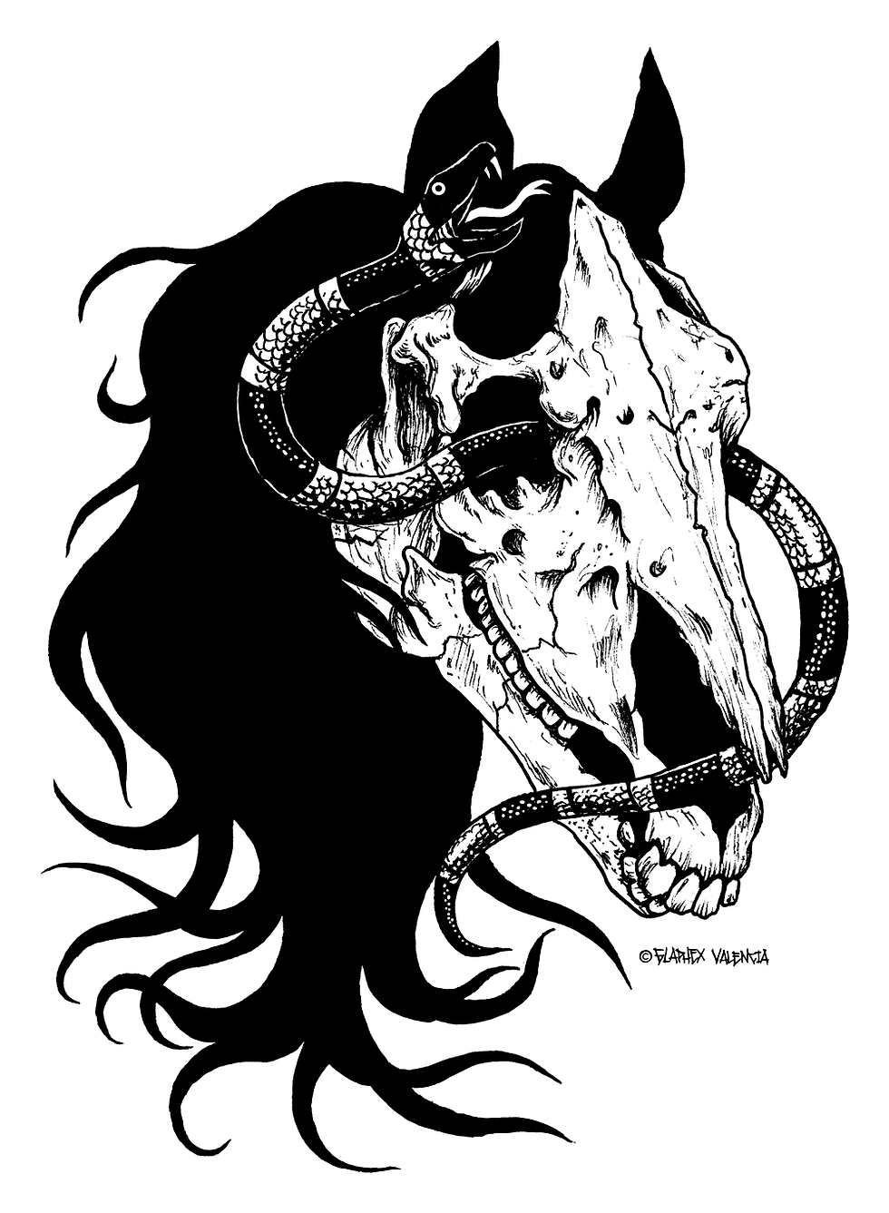 HORSE SKULL