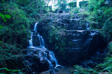_DSC4184.jpg