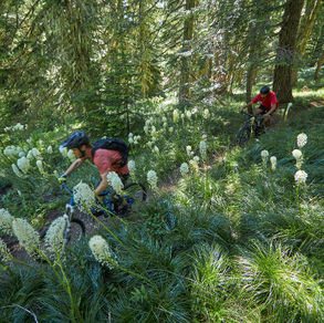 Make STOAKRIDGE your next mountain bike trip!