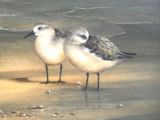 Birds of a feather Call for Artists