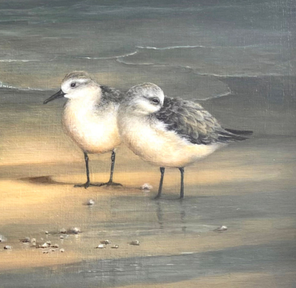 Birds of a Feather