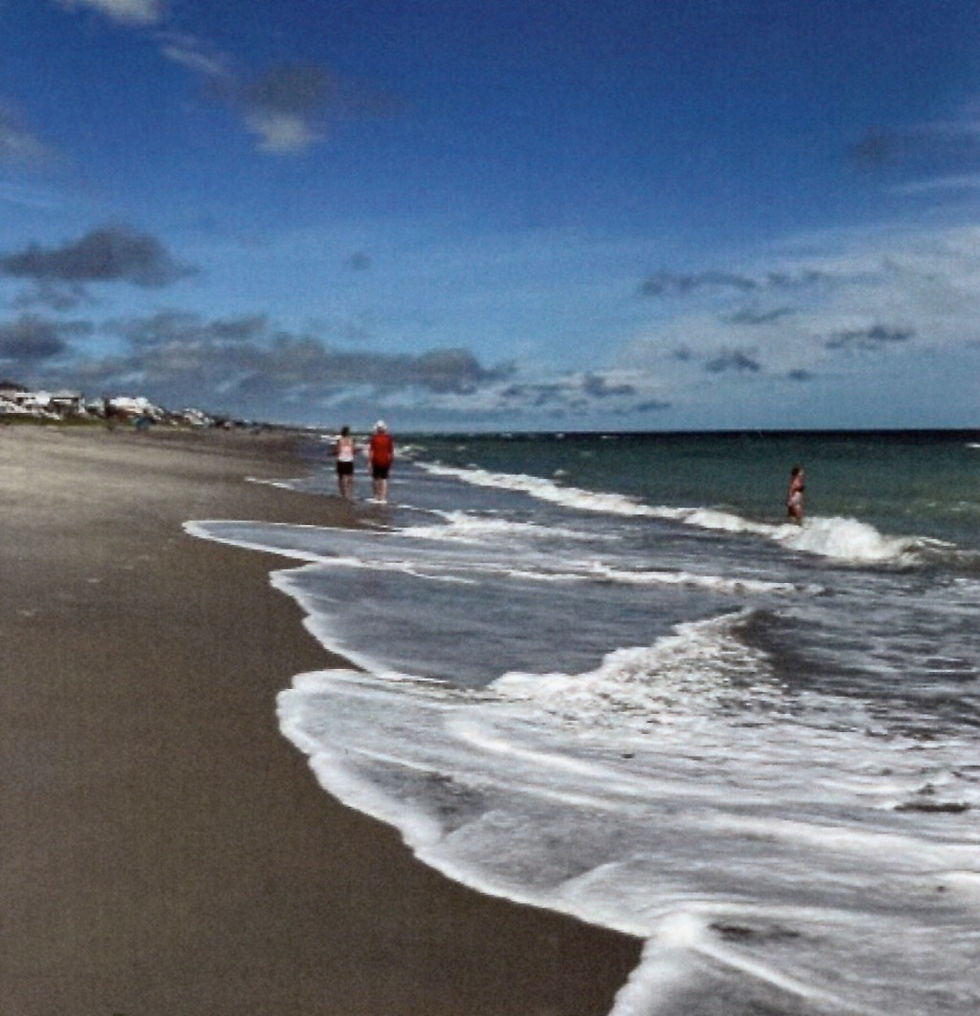 Beaches, Shores, and Scapes