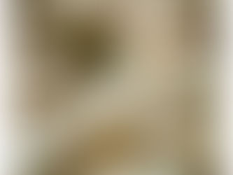 Call for artists and writers New show: Rescue Me