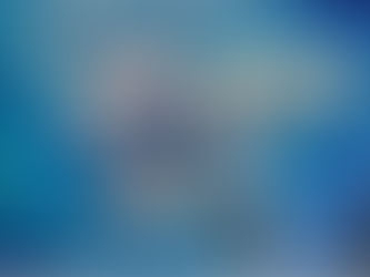 Janet Nickle Showing at Bradford Gallery