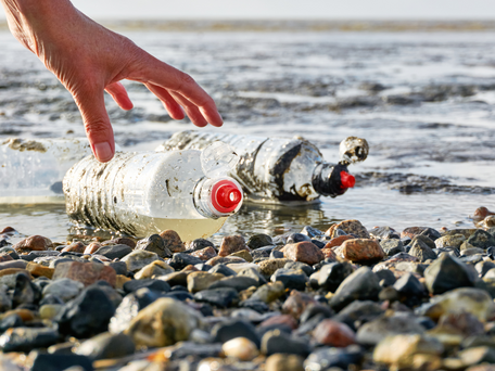 surf sin plastico