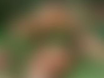 Adaptabilidade: um novo olhar, um passo à frente