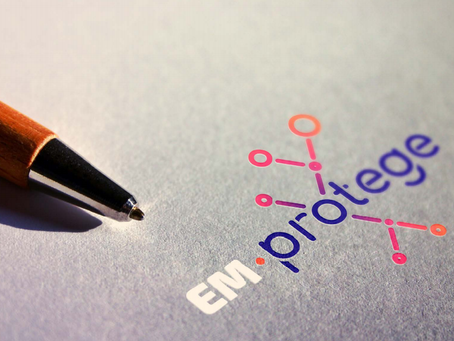 E.M. Protege: estratégia e mapeamento de riscos