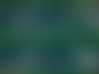 Com o Programa Gestão de Riscos Logísticos, seu negócio fica mais competitivo e seguro