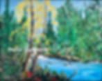Bright Morning At The River In The Woods