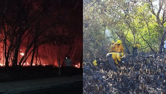 Incendios forestales consumen más de 5 mil hectáreas en Campeche; tulares de Laguna de Términos entre los más dañados