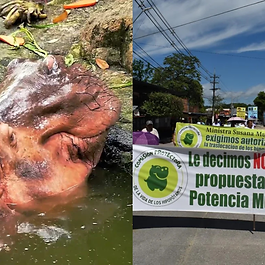 Redacción