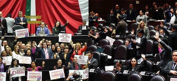 WhatsApp Image 2024-12-09 at 12.57.58.jpeg