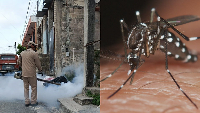 Estado de Campeche refuerza medidas contra el dengue en plena temporada de lluvias