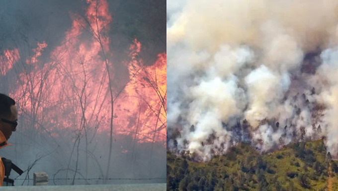 Campeche suma 24 incendios forestales en 2026; autoridades alertan por quemas agrícolas y basureros clandestinos