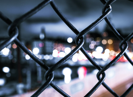 Both Sides Of The Fence