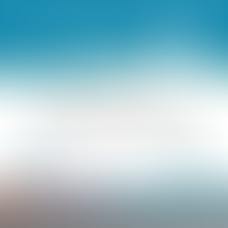 Patton, Moreno & Asvat - L2b Aviation