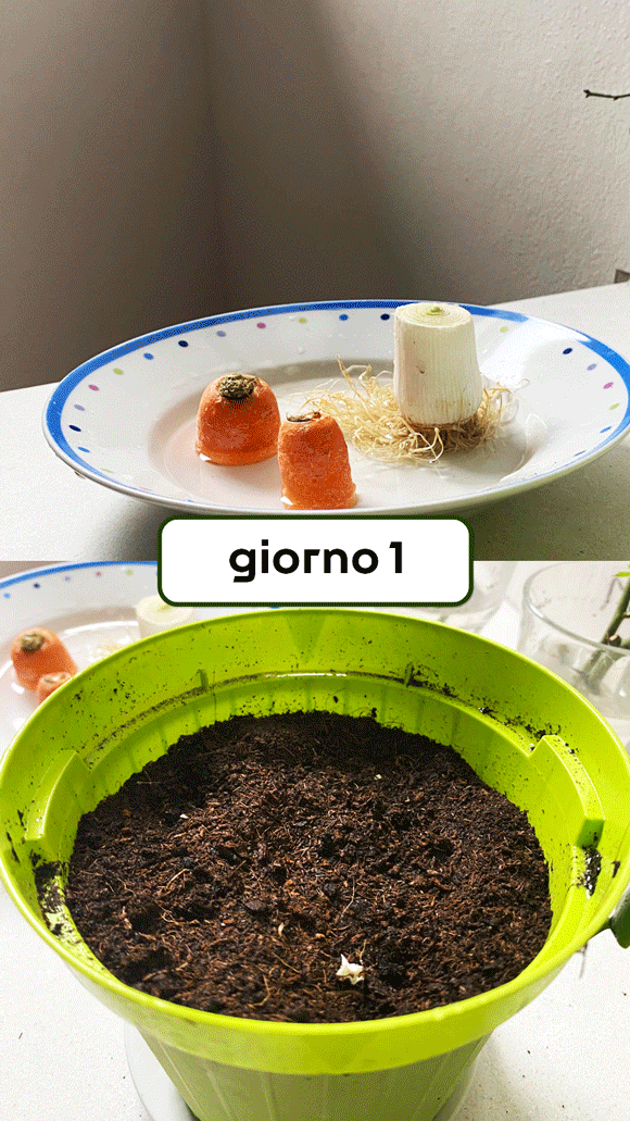 gif-foto-giorni.gif