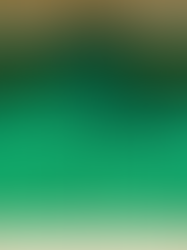 Celebrate Saint Patrick's Day with a Fresh Look for Your Garage Door