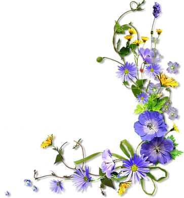 10904253.png