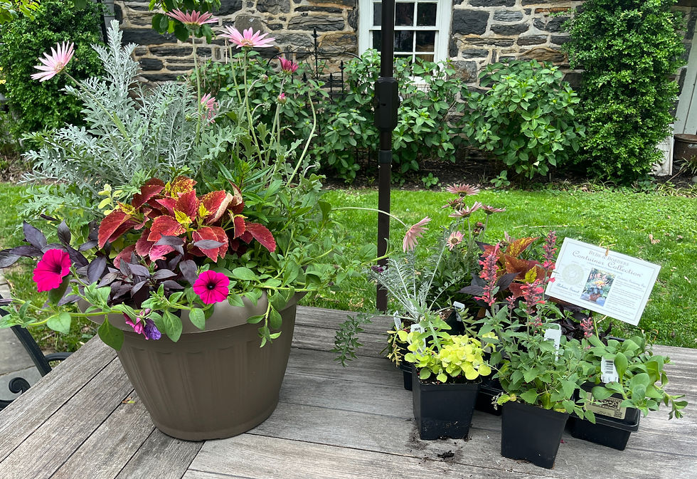 Crazy for Containers Pickup