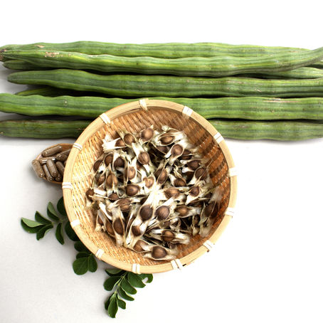 Is Moringa Good for You?