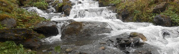 rivière de montagne.JPG