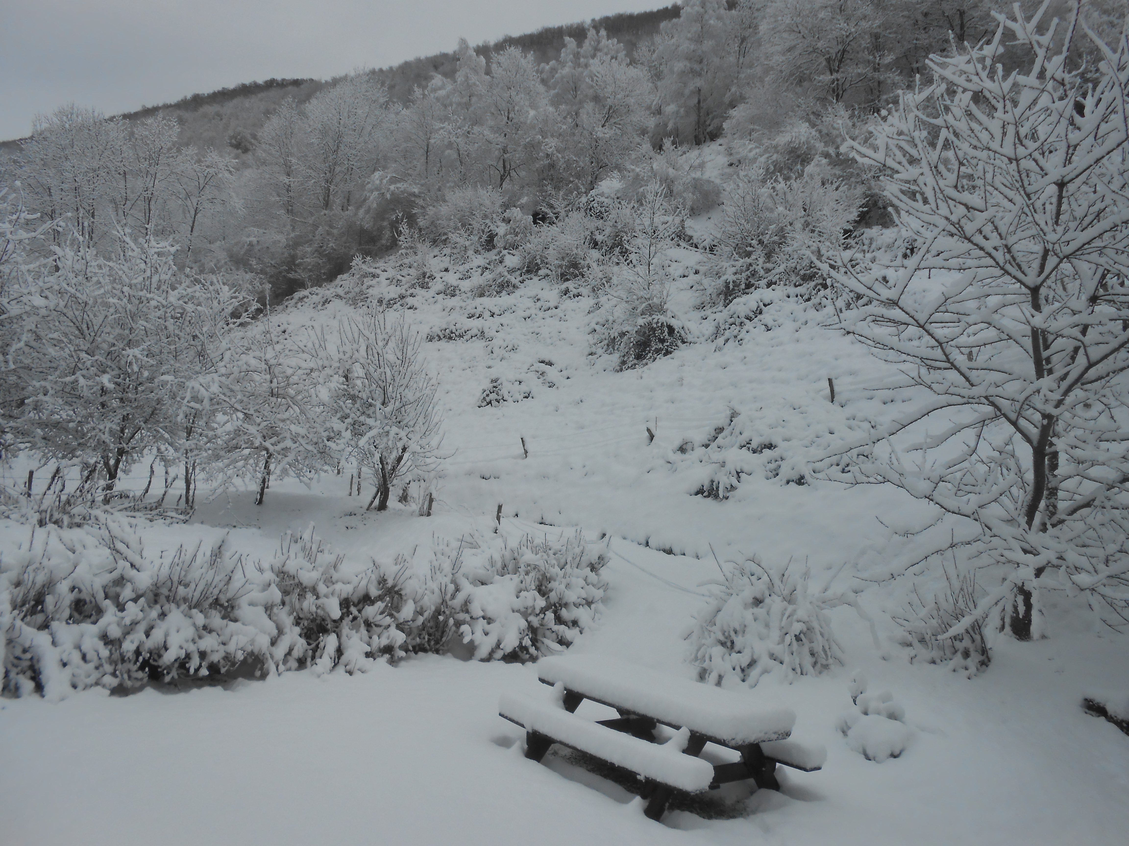 Neige à Biac en décembre