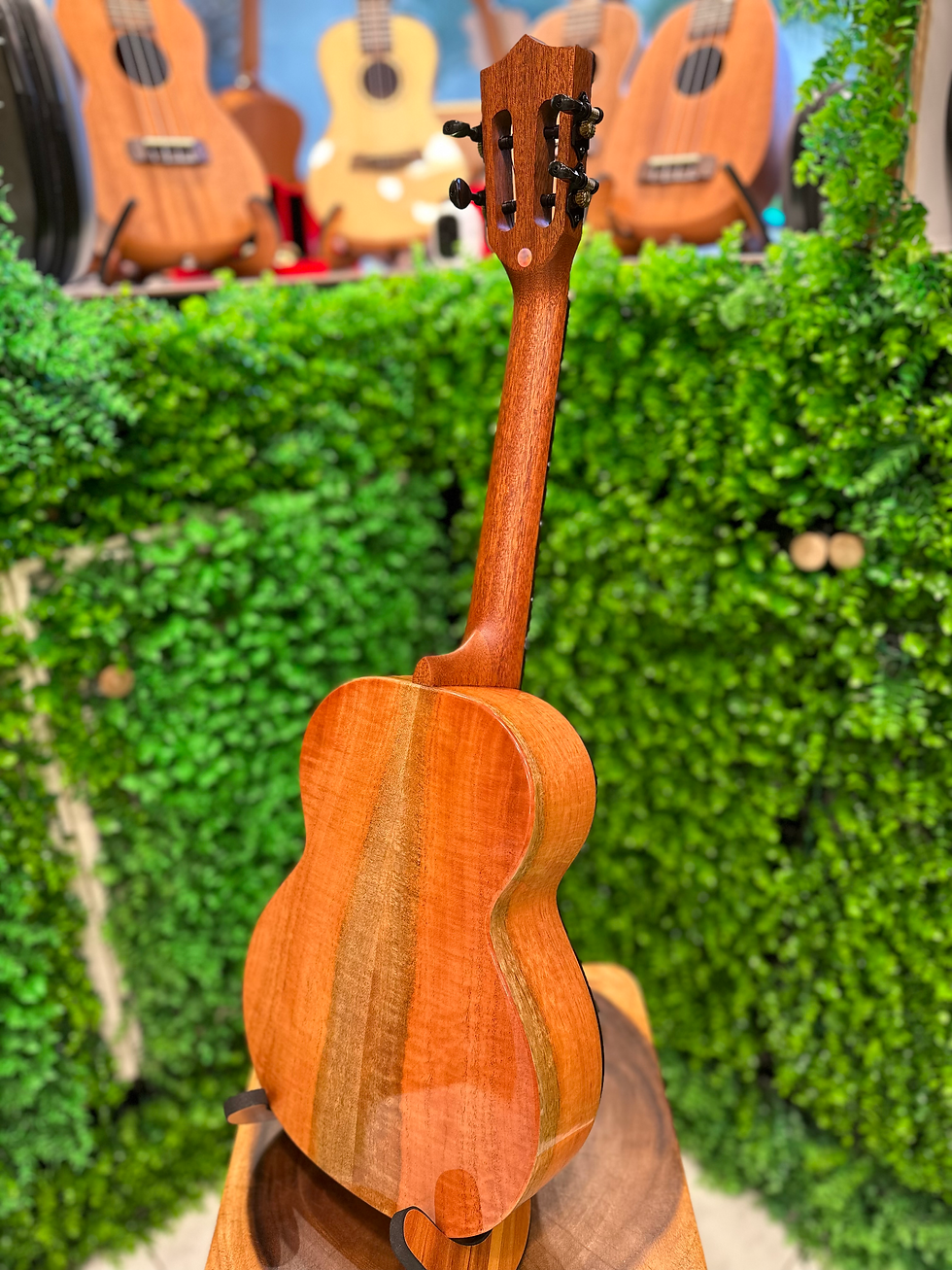 サムネイル： Kamehameha Ukulele KT-1 #4 ALL SOLID CURLY TRUE MAHOGANY TENOR w/electric pickup