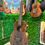 サムネイル： Kamehameha Ukulele KMB-26H Baritone Ukulele Butterfly wood Natural