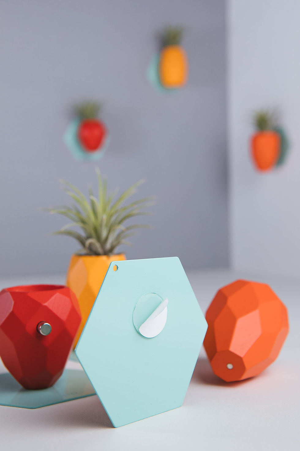 縮圖：SNAP FROOTS 水果西拿 磁吸原木植物盆 草莓