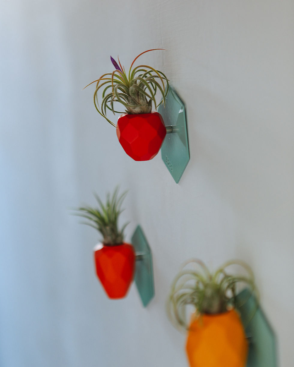 Thumbnail: SNAP FROOTS  - MAGNETIC PLANTER - Mini Strawberry