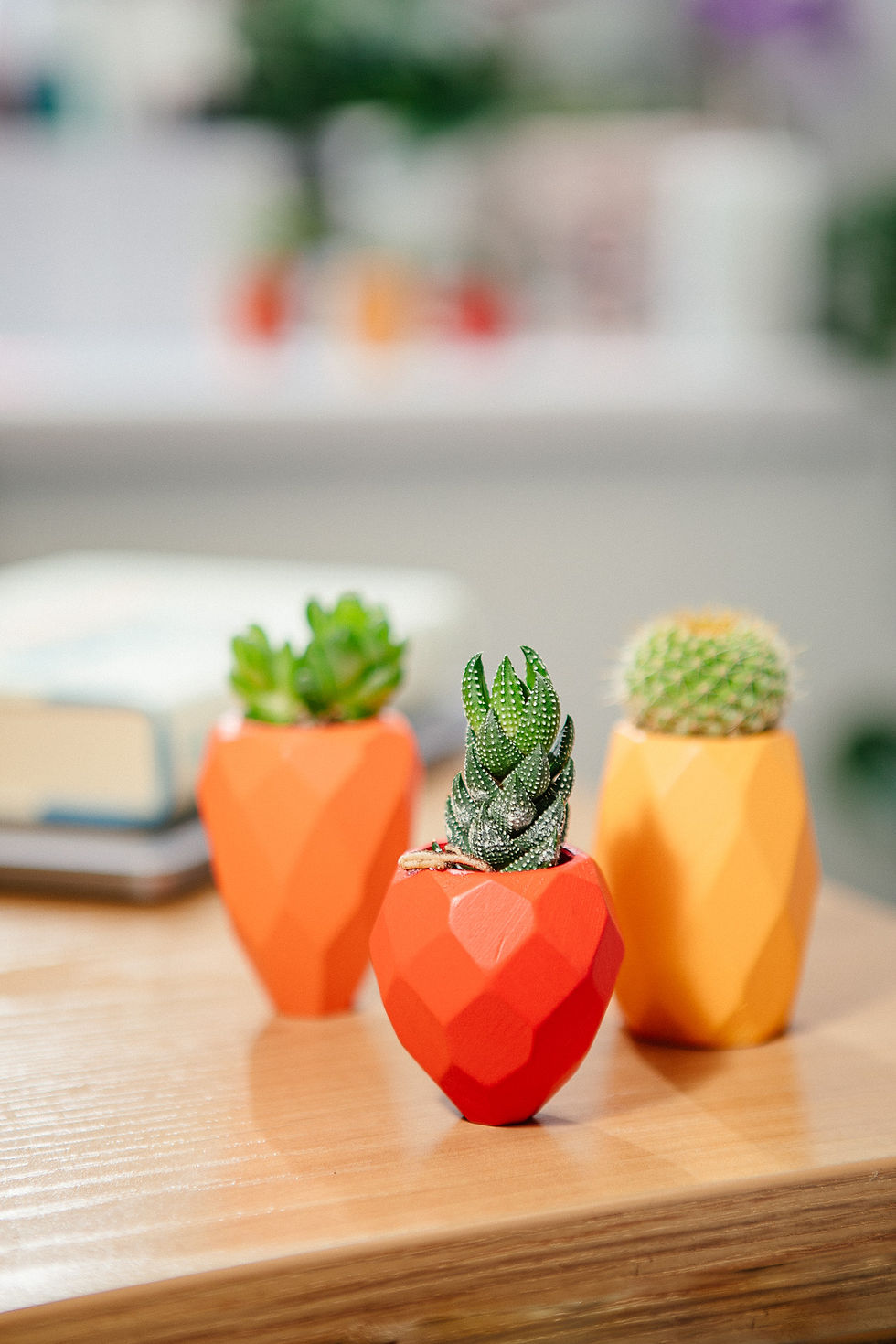 Thumbnail: SNAP FROOTS  - MAGNETIC PLANTER - Mini Strawberry