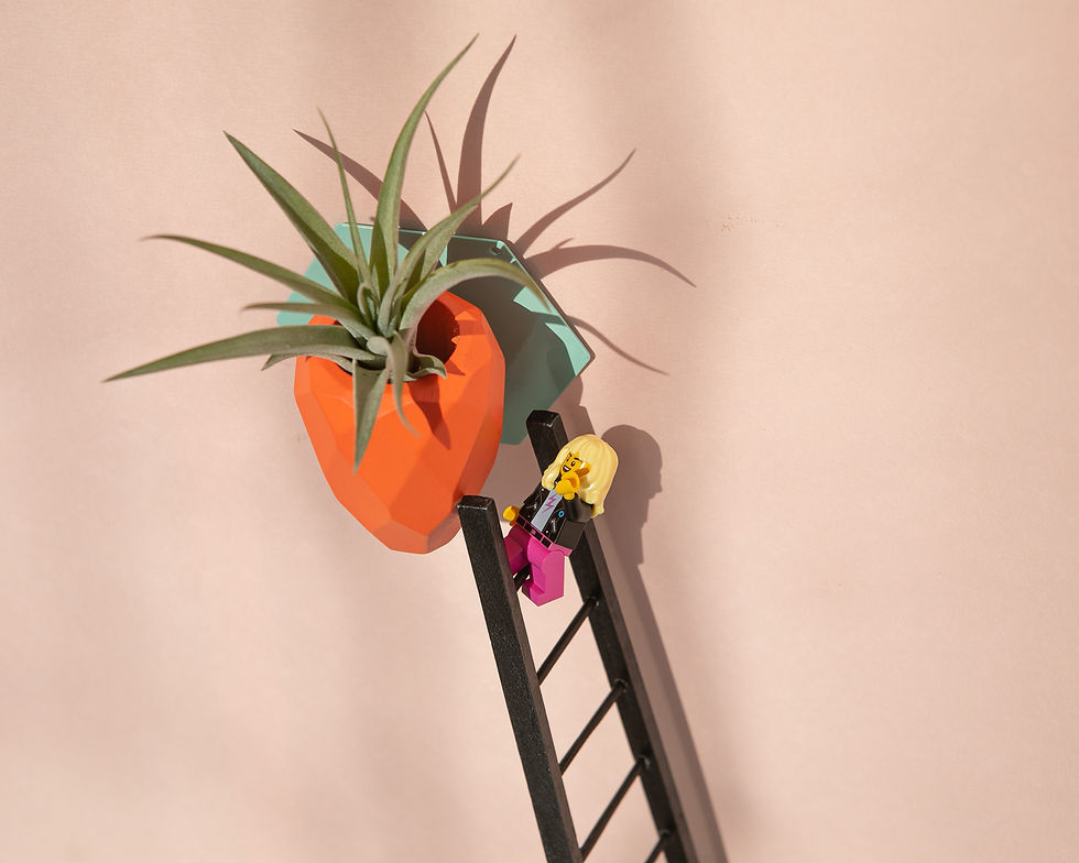 Thumbnail: SNAP FROOTS  - MAGNETIC PLANTER - Mini Carrot