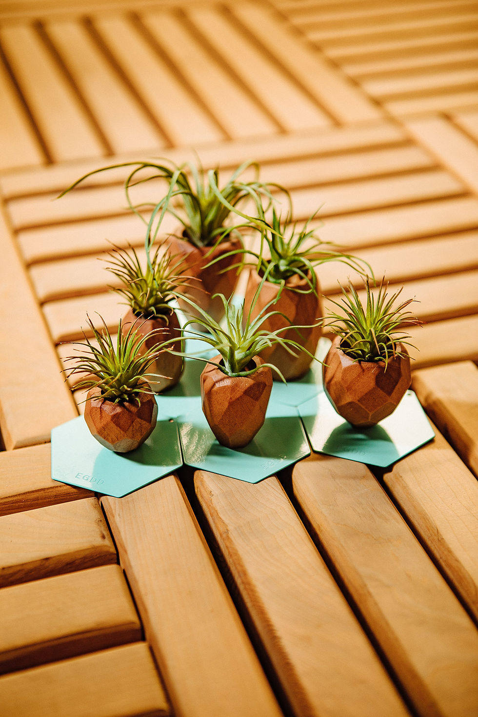 Thumbnail: SNAP FROOTS  - MAGNETIC PLANTER - Mini Wood Carrot