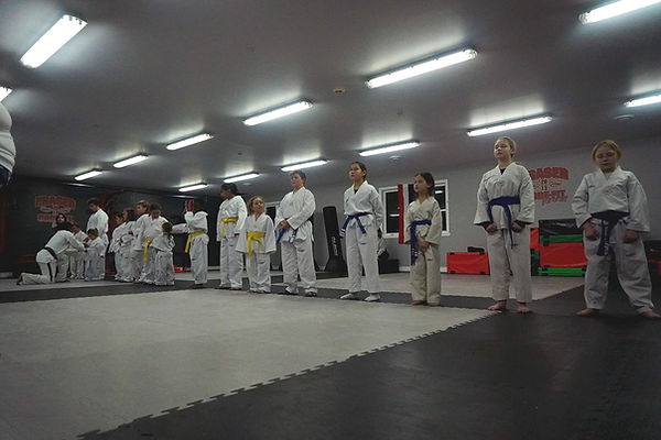 Taekwondo Classes at Fraser Core Fit