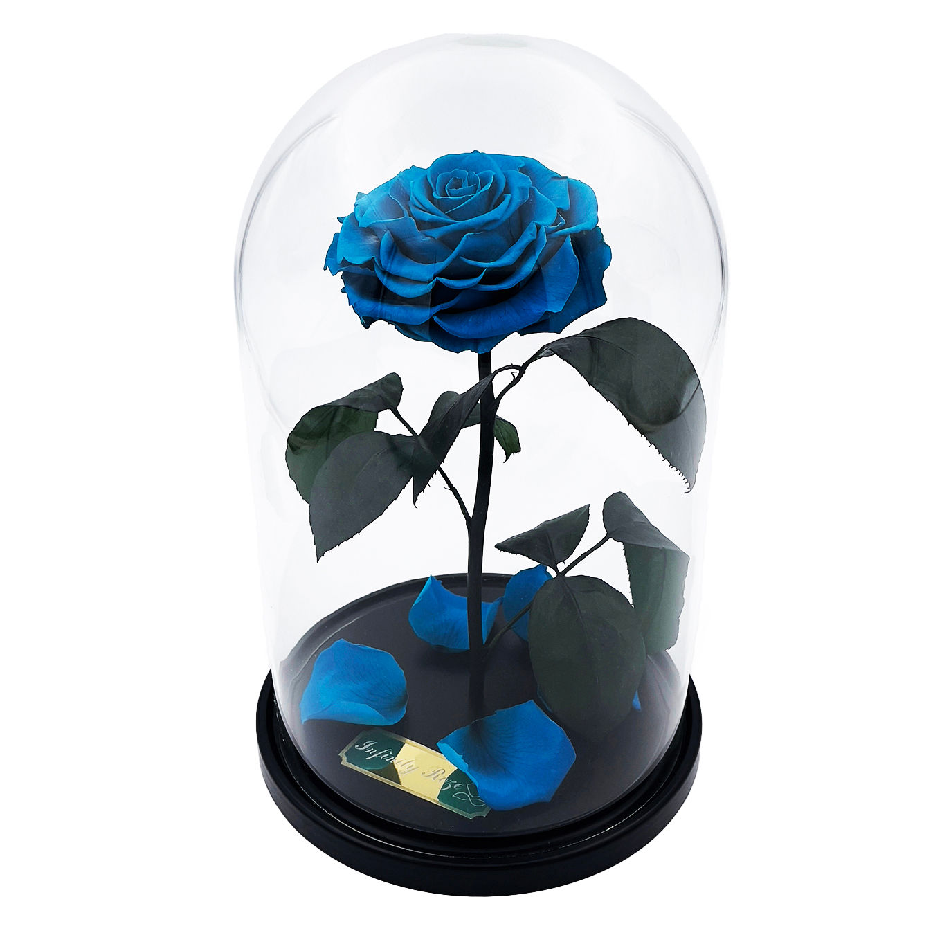 Roze kolbā Tiffani krāsā